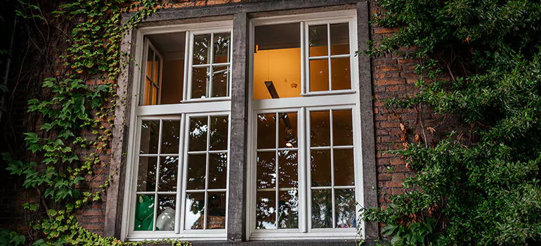 Energy Efficient Wood Windows in South Miami Heights, FL