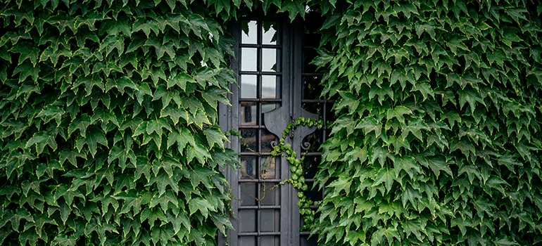 Garden Gate Repair in South Miami Heights, FL