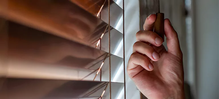Double Roller Blinds in South Miami Heights, FL
