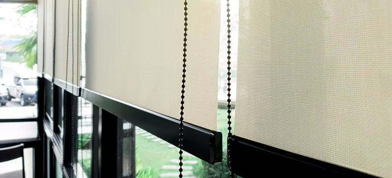 Blackout Window Shades in South Miami Heights, FL