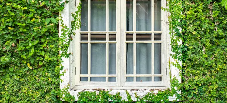 Garden Window Repair Near Me in South Miami Heights, FL