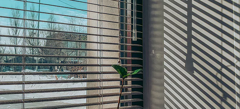 Commercial Window Blinds in South Miami Heights, FL