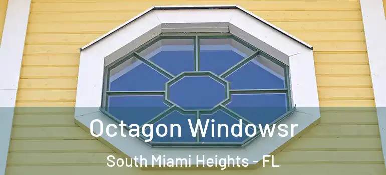  Octagon Windowsr South Miami Heights - FL
