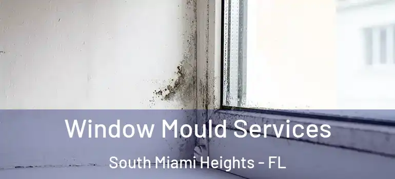  Window Mould Services South Miami Heights - FL